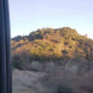 Meet your Posher, Aliyah